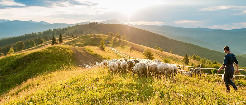 Zootrofes Karagkounis